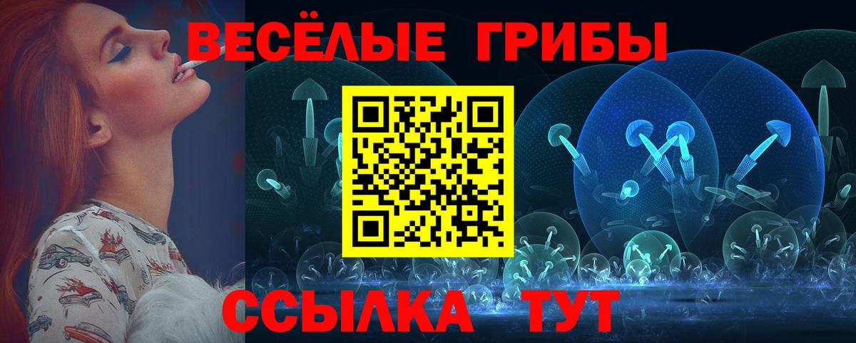 Галлюциногенные грибы Psilocybine cubensis  Вход с VPN  Псилоцибиновые грибы мухоморы  где купить   Хасавюрт 